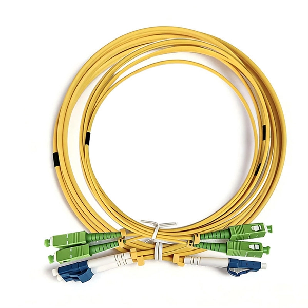 Domestic Ranking of Industrial-Grade Switches