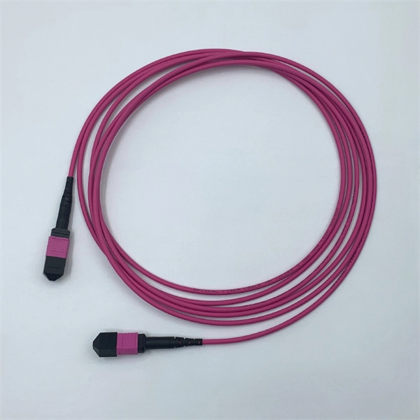 Fiber optic sensor long strip shape 