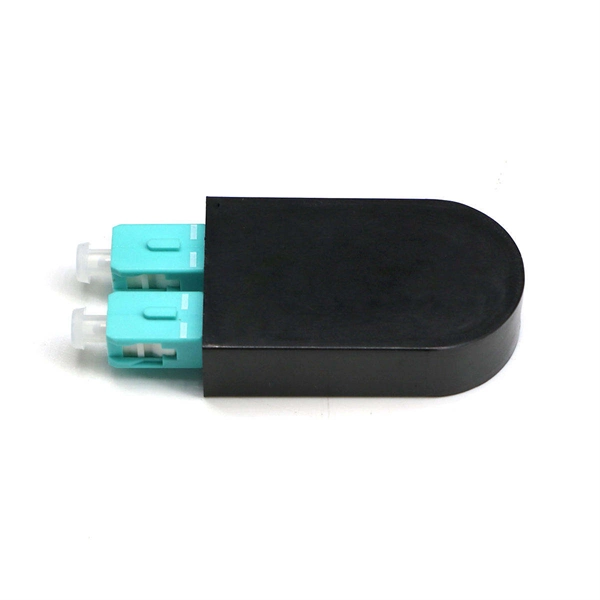 View port information of DS fiber optic switch