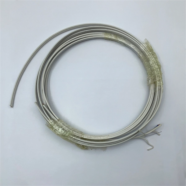Gigabit Optical Module in West Asia