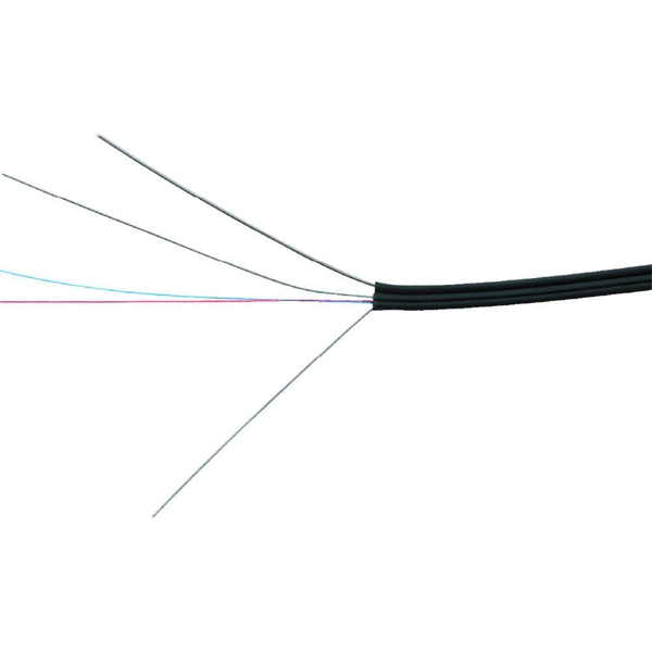 Graphics of fluorescence spectrometer