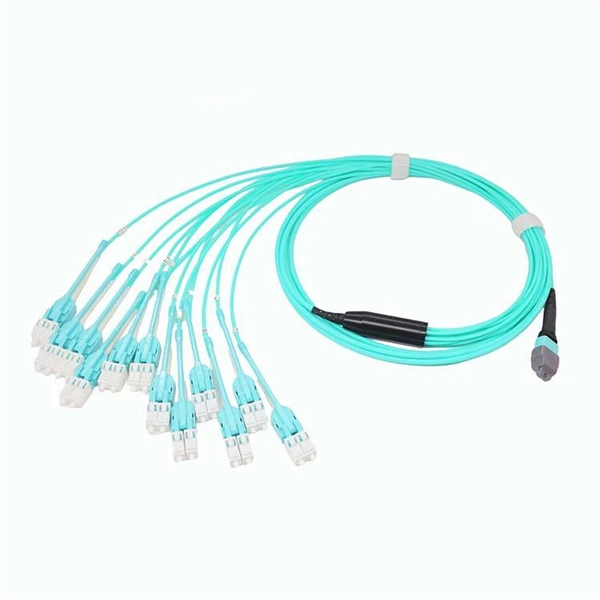 Optical-to-Electronic Network Module