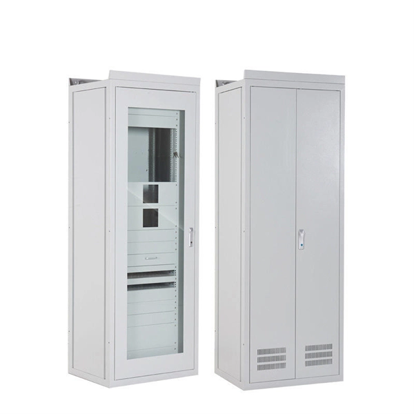 What does silicone Singapore module mean