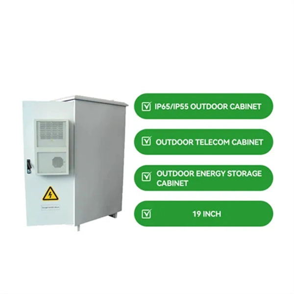 What kind of optical module does a switch have